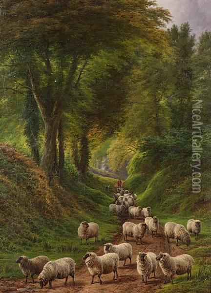 Sheep On A Country Path Oil Painting - Charles Jones