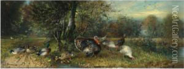 Ducks And Turkeys Oil Painting - Julius Scheurer