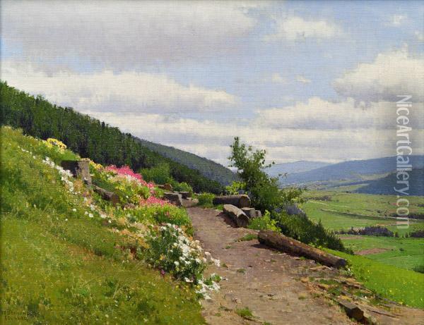 Landschaft Mit Bluhender Wiese Oil Painting - Ferdinand Brunner