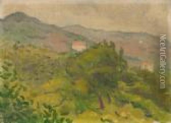 Paysagede Ceret Oil Painting - Albert Marquet
