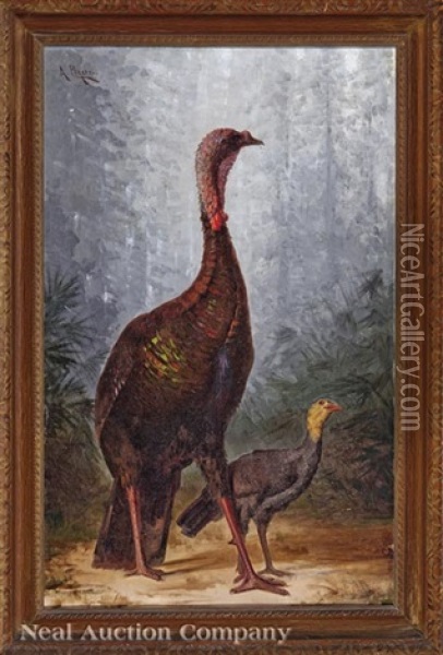 Louisiana Eastern Wild Turkeys (tom And Jake) Oil Painting - Achille Peretti