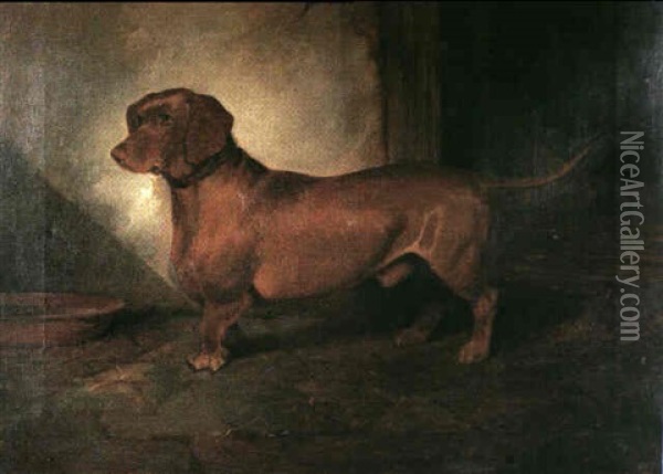 A Dachshund Oil Painting - George Frederick Wright