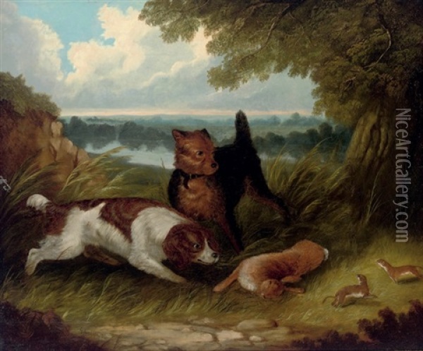 Rabbiting Oil Painting - Edward Armfield