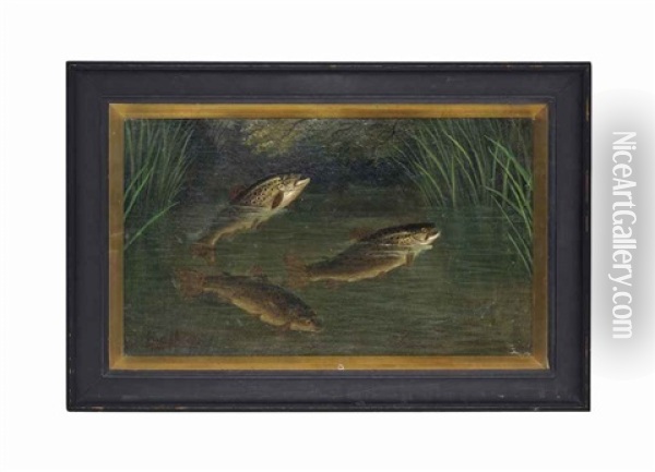Trout In A River Oil Painting - A. Roland Knight