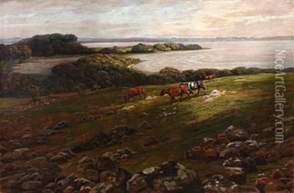 Landscape From Ringsjo In Scania Oil Painting - Luplau Janssen
