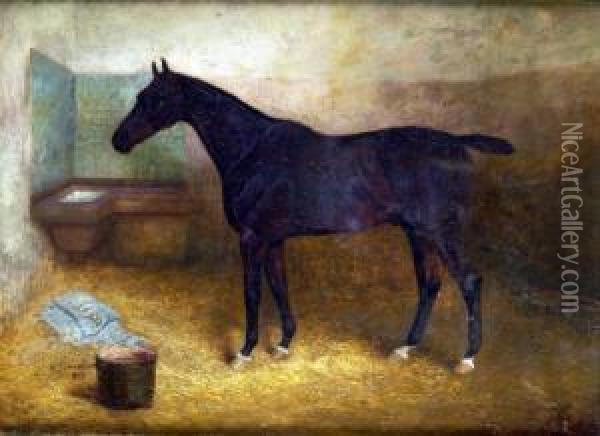 Blackthorn, A Hunter In A Stable Oil Painting - Arthur Louis Townshend