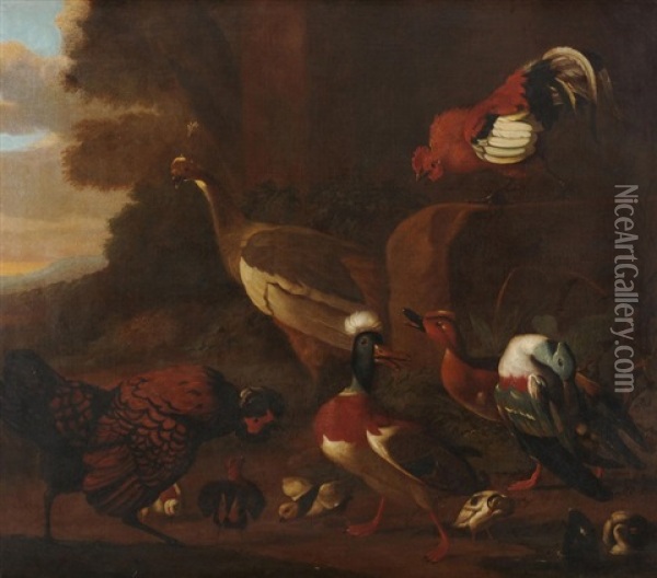 Vogelvieh Oil Painting - Melchior de Hondecoeter