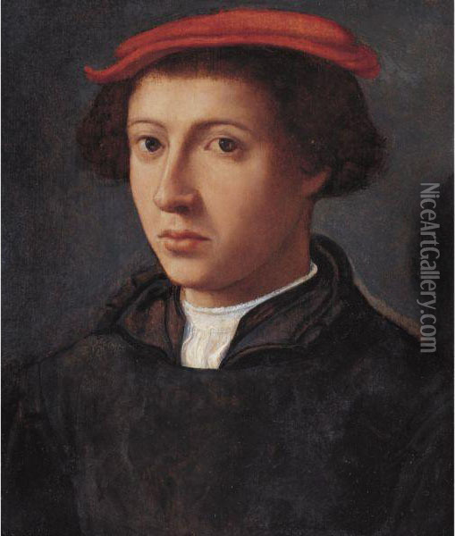 Portrait Of A Young Man Oil Painting - Jacobsz Dirck
