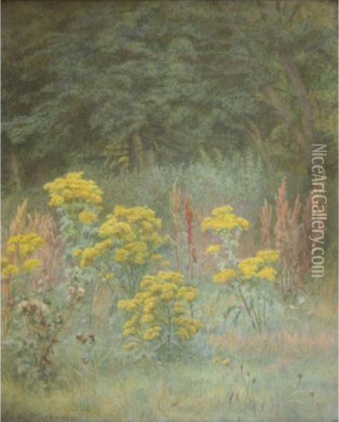 Ragwort In All His Glory Oil Painting - Edith Martineau
