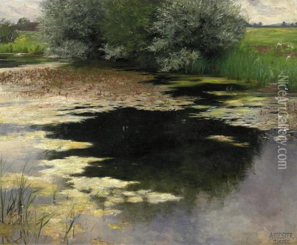 Pond Oil Painting - Alexander Max Koester