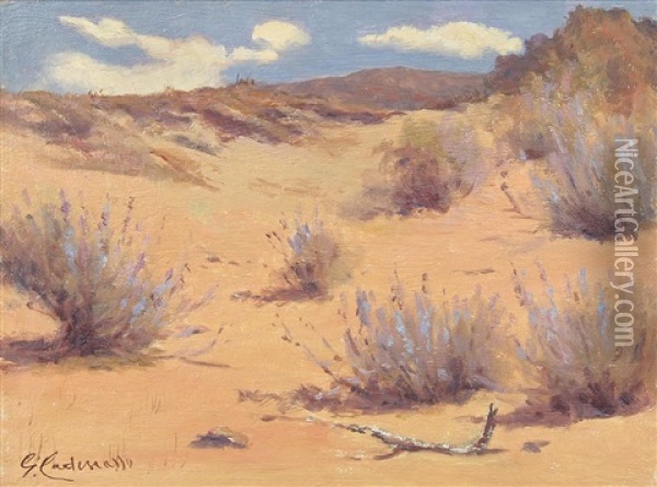 Pink Desert Oil Painting - Giuseppe Cadenasso