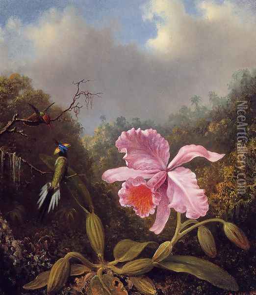 Fighting Hummingbirds With Pink Orchid Oil Painting - Martin Johnson Heade