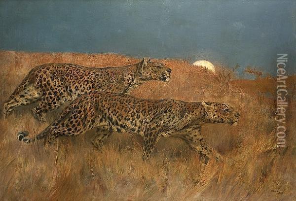 Leopards Stalking Prey Oil Painting - Arthur Wardle