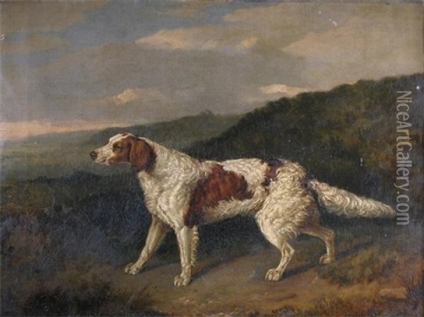 A Pointer In A Landscape Oil Painting - Abraham Cooper
