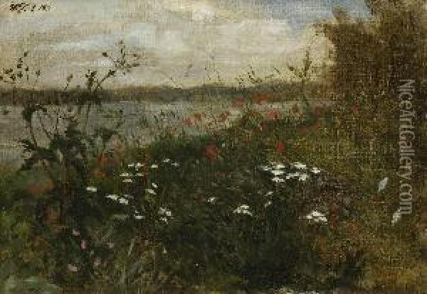 Feldblumen Am Seeufer. Oil Painting - Wilhelm Trubner