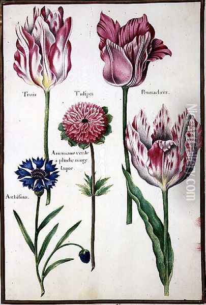 Three Broken Tulips, Cornflower and Anemone Oil Painting - Nicolas Robert