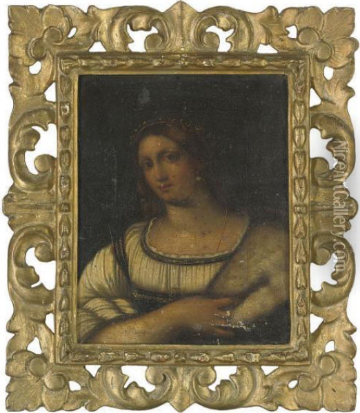 Portrait Of A Lady, Half-length, In A White Dress With A Fur Cape Oil Painting - Sebastiano Del Piombo