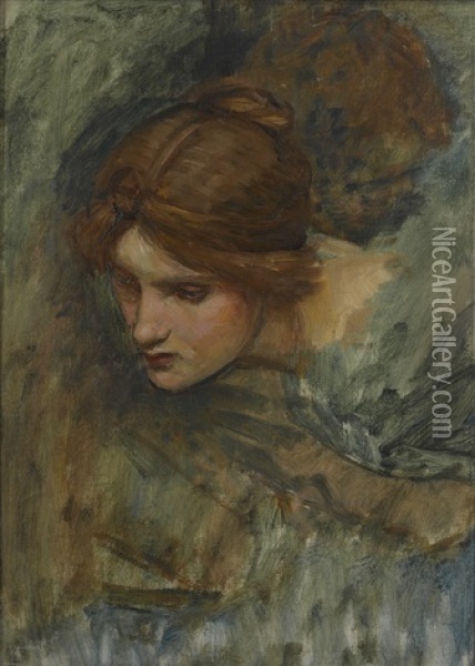Study For The Head Of Venus In The Awakening Of Adonis Oil Painting - John William Waterhouse