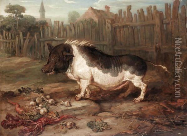 A Hog In A Yard Oil Painting - James Ward