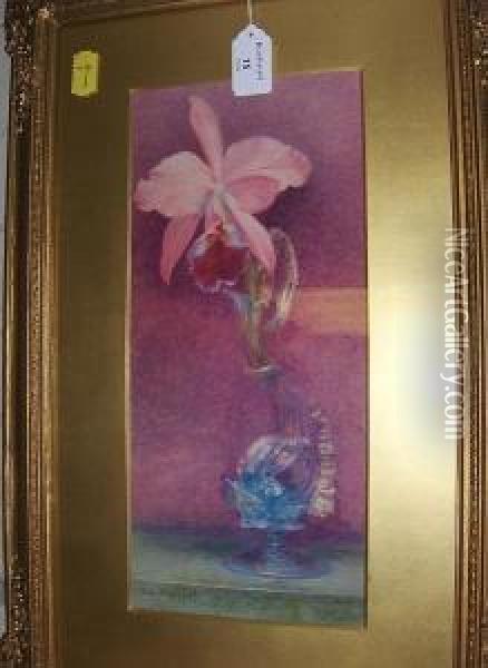 Still Life Of A Lily In A Venetian Glass Vase Oil Painting - Helen Thornycroft