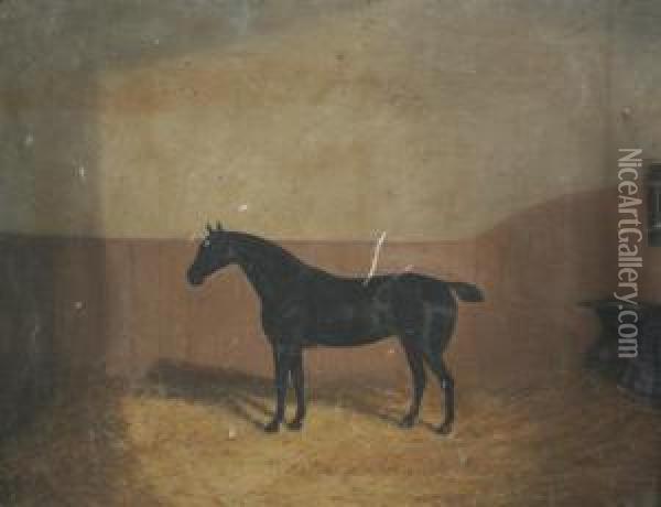 Horse In A Stable; 'lorna Doone' Oil Painting - A. Clark
