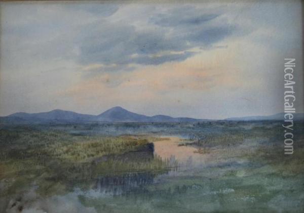 Croagh Patrick Watercolour, Sketch Of A Grassy Bank Verso Oil Painting - William Percy French