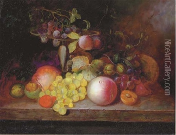 Still Life Of A Fruit Assortment Oil Painting - Christine Marie Lovmand