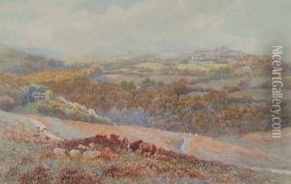 Cattle On Dartmoor Oil Painting - William Wackenbath Short