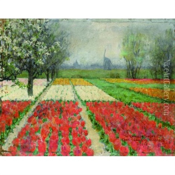 A View Of Tulip Beds In Bloom, Holland Oil Painting - George Hitchcock