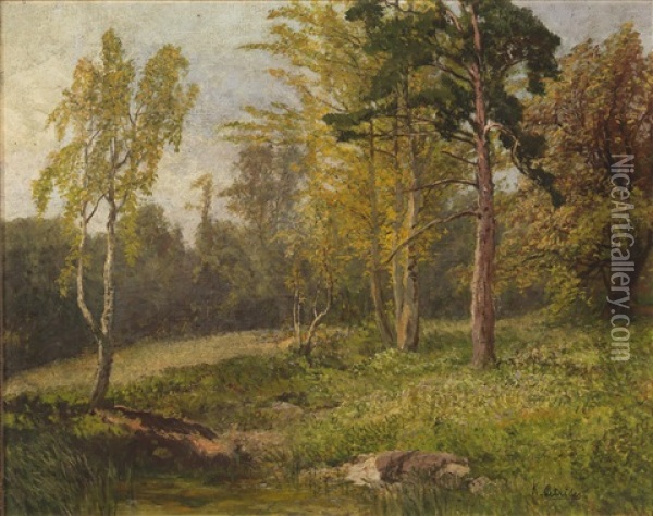 Woodland Landscape Oil Painting - Konrad Petrides