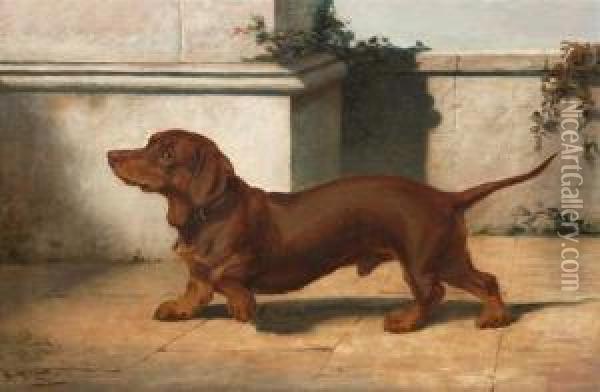 Short Haired Dachsund Oil Painting - William Henry Hamilton Trood