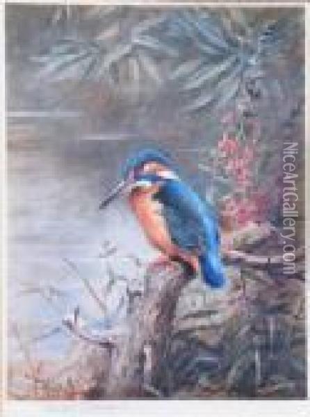 Kingfisher. Oil Painting - Archibald Thorburn