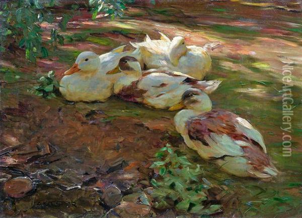 Vier Enten Im Abendlicht Oil Painting - Alexander Max Koester
