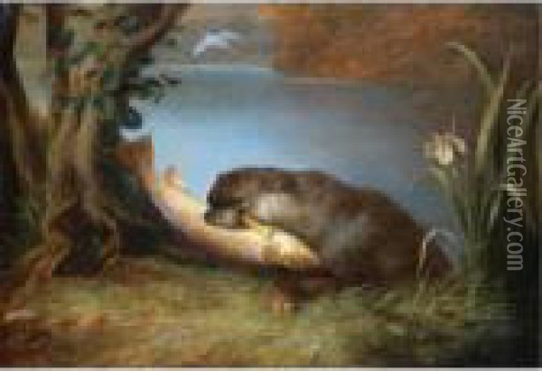 An Otter With A Salmon On The Bank Of A River Oil Painting - James William Giles