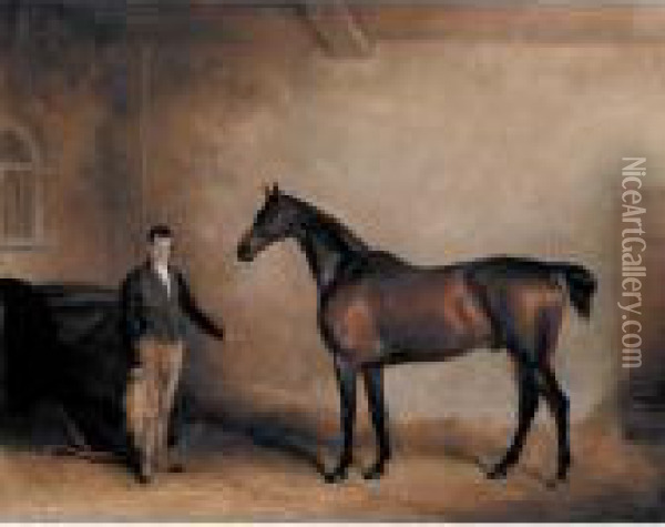 Mr. C. N. Hogg's Claxton And A Groom In A Stable Oil Painting - John Snr Ferneley