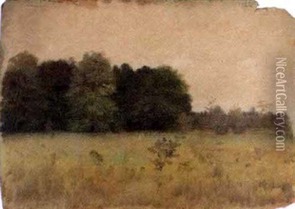 Field With Distant Tree Embankment Oil Painting - Charles Wimar
