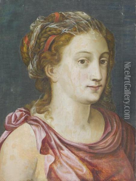 Portrait Of A Lady, Bust-length, In Classical Dress Oil Painting - Maarten de Vos