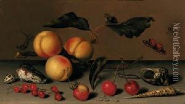 Apricots On A Stalk, Cherries, A
 Wild Strawberry, Redcurrants,shells, A Butterfly, A Bee, A Spider, A 
Fly, A Caterpillar And Adragonfly On A Ledge Oil Painting - Balthasar Van Der Ast