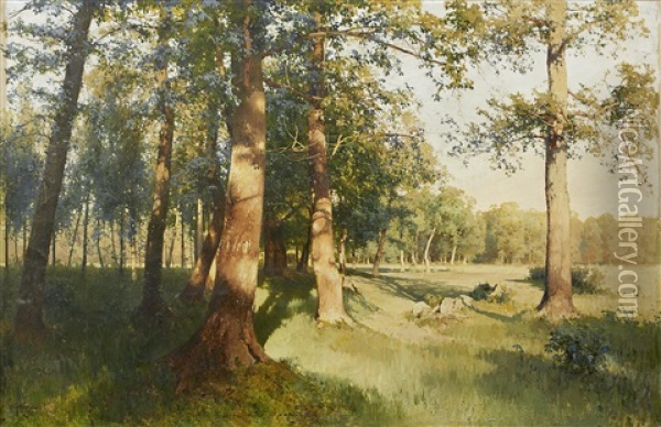 A Sunlit Meadow Oil Painting - Andrei Nikolaevich Shilder