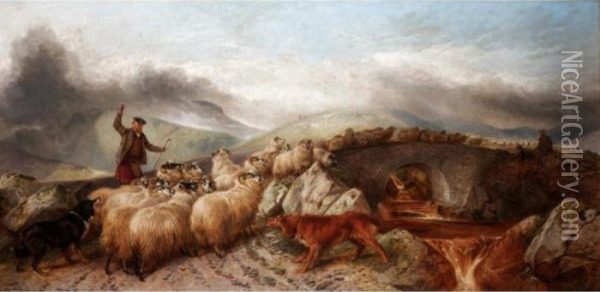 Collecting Sheep For Clipping In The Highlands Oil Painting - Richard Ansdell