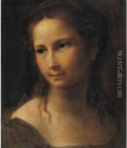 - Oil Painting - Raphael (Raffaello Sanzio of Urbino)