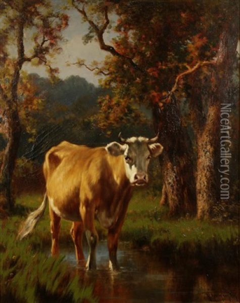 A Study Of A Cow Wading In A Woodland Stream Oil Painting - Robert Atkinson Fox