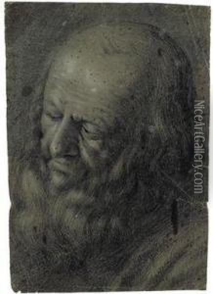 Portrateines Bartigen Mannes Oil Painting - Giovanni Girolamo Savoldo