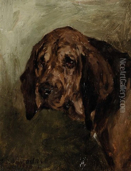 Kopf Eines Bluthundes Oil Painting - George Denholm Armour