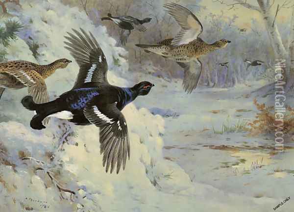Through the Snowy Coverts Oil Painting - Archibald Thorburn