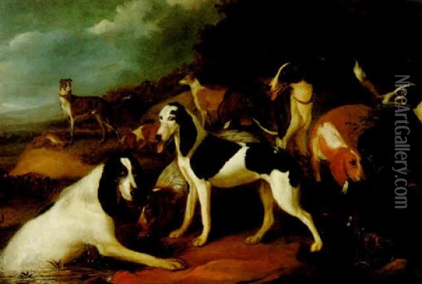 Hounds In A Landscape Oil Painting - Adriaen Cornelisz Beeldemaker