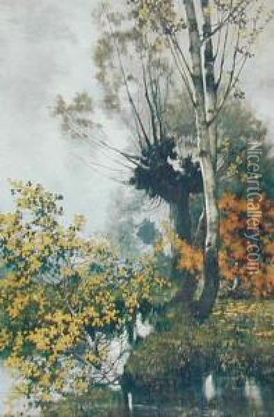 Pejzaz Nadwodny Oil Painting - Ludwik Stasiak