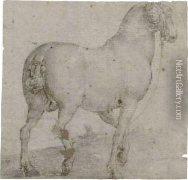 Portrait Of The Horse, Corsus Oil Painting - Jan van der Straet