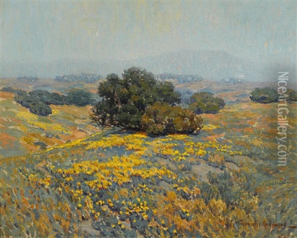 Rolling Fields Of Poppies On A Hazy Day Oil Painting - Granville S. Redmond