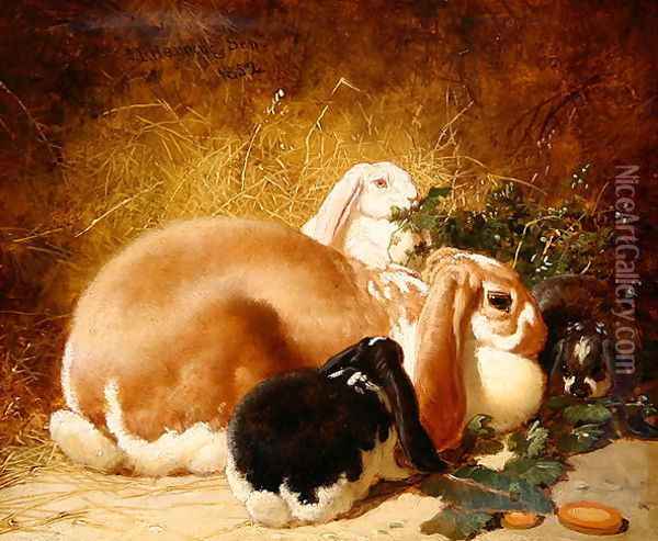 Rabbits, 1852 Oil Painting - John Frederick Herring Snr